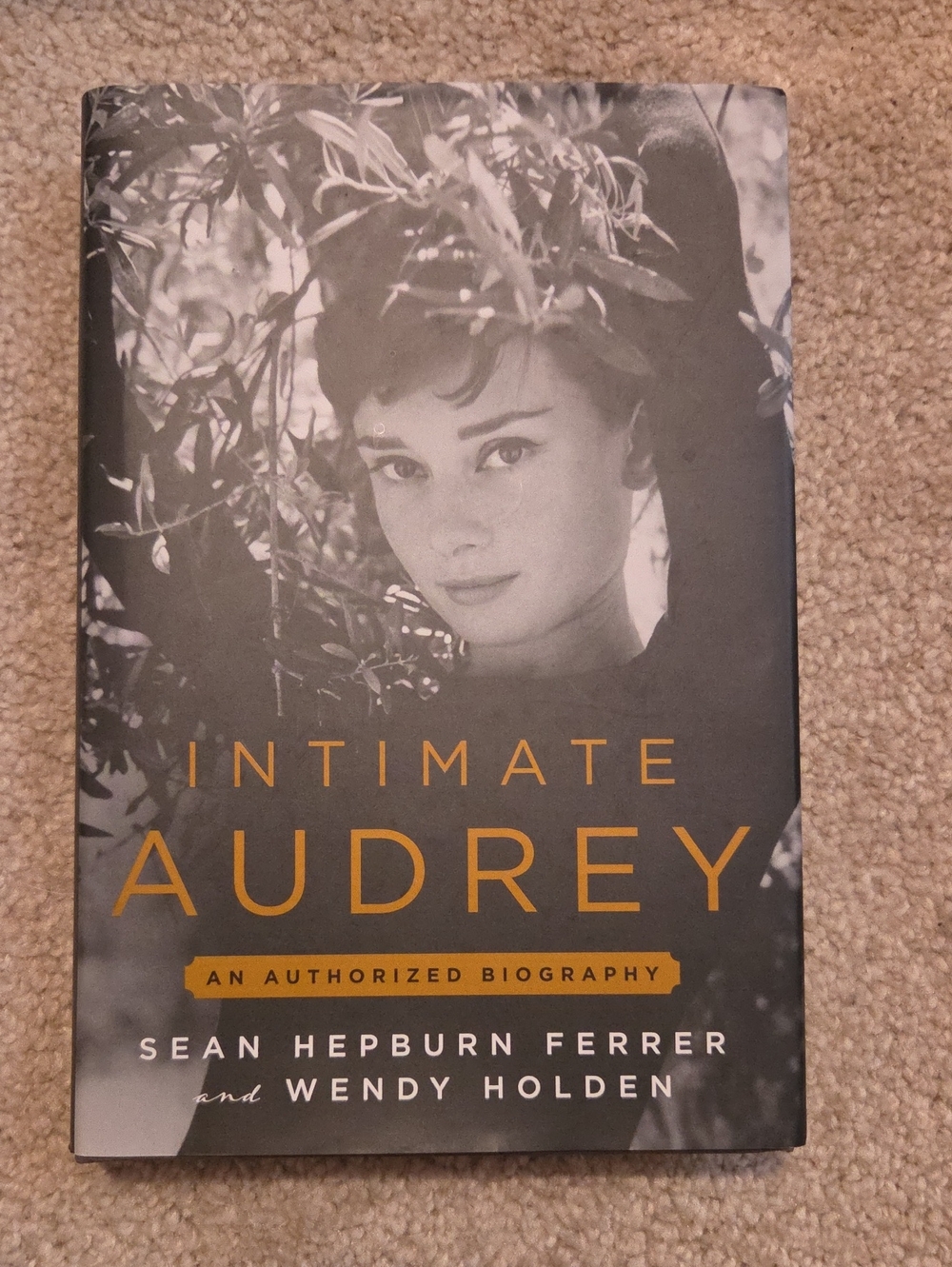 Hardcover authorized biography